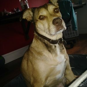 Meet your Posher, Jaelynn